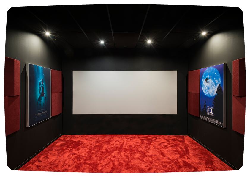 Salle home cinéma The Shape of Water à Biarritz
